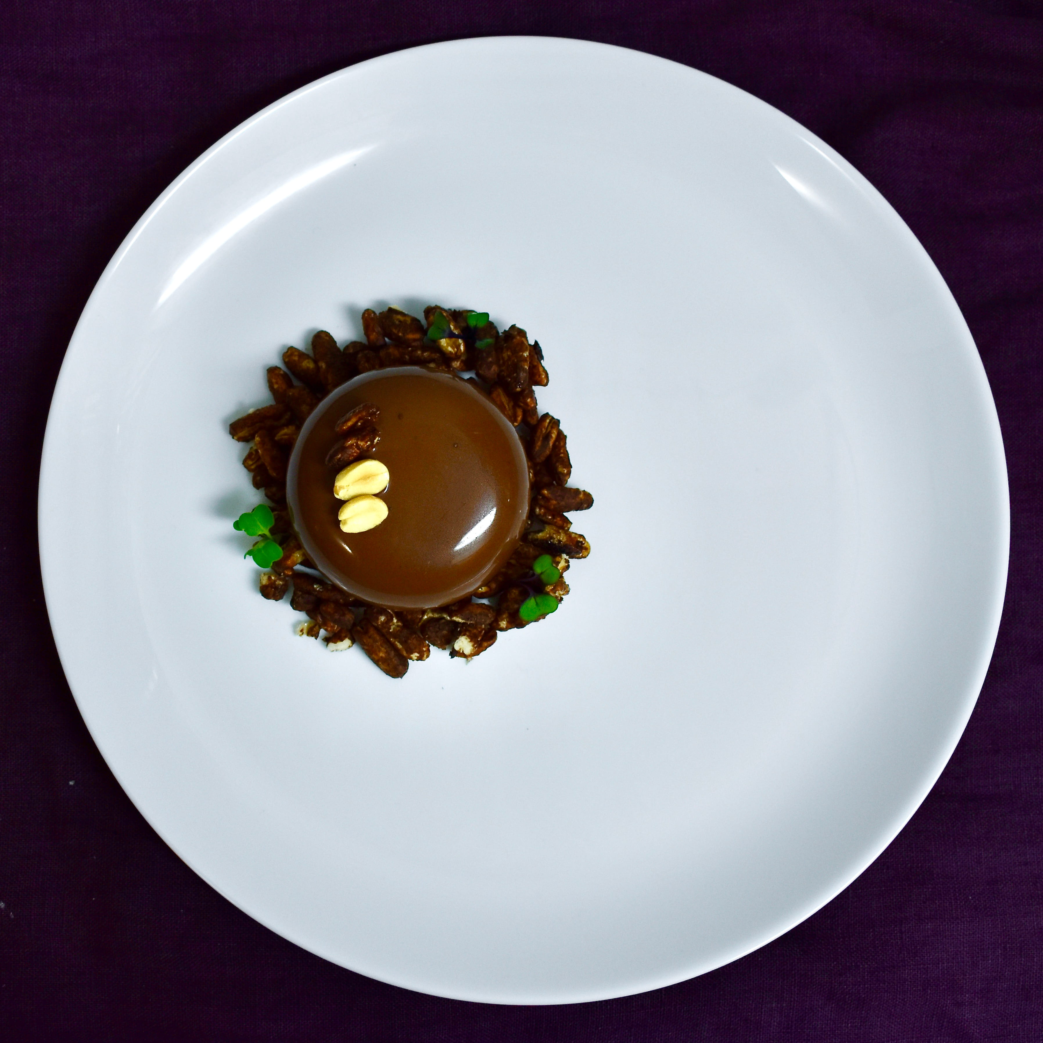 Chocolate peanut entremet